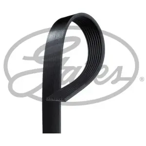 Courroie trapézoïdale à nervures GATES 8PK1600HD pas cher