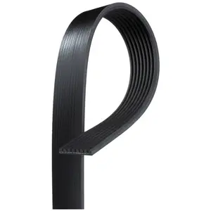 Courroie trapézoïdale à nervures GATES 8PK1020HD pas cher