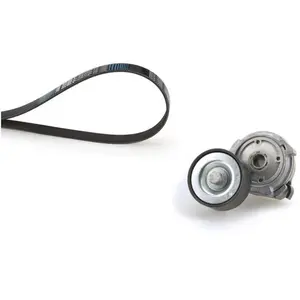GATES Kit Micro-V K018PK1420HD pas cher