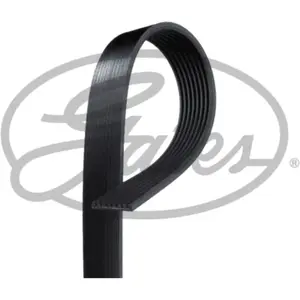 Courroie trapézoïdale à nervures Micro-V® 8PK1173 Gates 8PK1173 pas cher