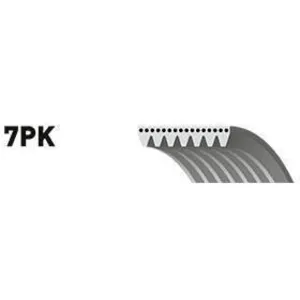 Courroie trapézoïdale à nervures Micro-V® 7PK1113 Gates 7PK1113