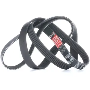 Courroie trapézoïdale à nervures Micro-V® 6PK1605 Gates 6PK1605 pas cher