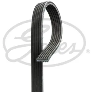 Courroie trapézoïdale à nervures Micro-V® 6DPK1352 Gates 6DPK1352 pas cher
