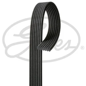 Courroie trapézoïdale à nervures Micro-V® 7DPK1560 Gates 7DPK1560