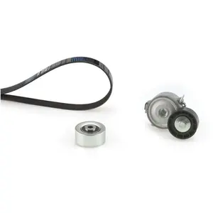 Jeu de courroies trapézoïdales à nervures Micro-V® Kit K246PK1700 Gates K246PK1700 pas cher