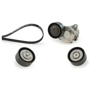 Jeu de courroies trapézoïdales à nervures Micro-V® Kit K036PK2005 Gates K036PK2005 pas cher