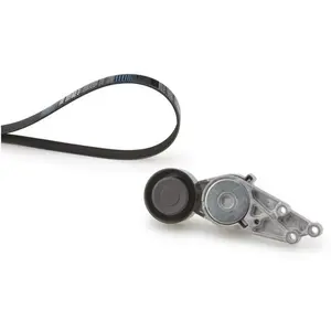 Jeu de courroies trapézoïdales à nervures Micro-V® Kit K025PK1303 Gates K025PK1303 pas cher