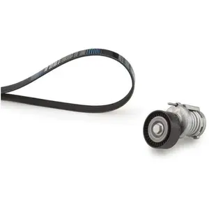 Comparateur de prix : GATES Kit Micro-V K046PK1123