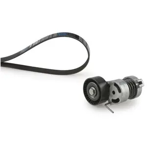 Jeu de courroies trapézoïdales à nervures Micro-V® Kit K086PK1640 Gates K086PK1640 pas cher