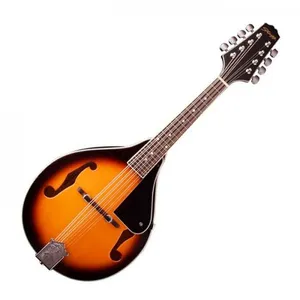 Stagg M20 S - Mandoline Bluegrass avec table en épicéa