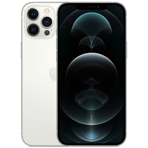 Apple iPhone 12 Pro Max 256 Go Argent [SANS FACEID pas cher