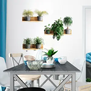 Ambiance-sticker Stickers effet 3D plantes tropicales sur étageresVendu parambiance-sticker