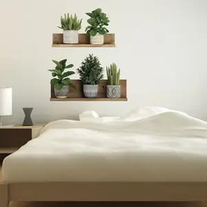 Ambiance-sticker Stickers effet 3D plantes vertes sur étagèresVendu parambiance-sticker