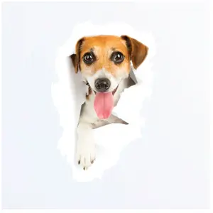 Ambiance-sticker Sticker Chien tirant sa langue pas cher