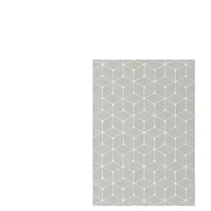 Tapis 160x230 cm ESSA coloris gris pas cher