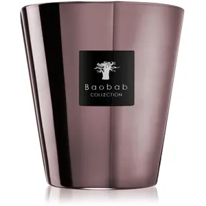Baobab Collection Les Exclusives Roseum bougie parfumée 16 cm pas cher