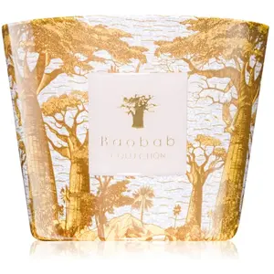 Baobab Collection Sacred Trees Bounkani bougie parfumée 500 g pas cher