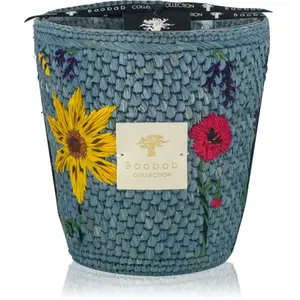 Baobab Collection Vony Tanteli bougie parfumée 1000 g pas cher
