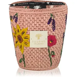 Baobab Collection Vony Kopelika bougie parfumée 1000 g pas cher
