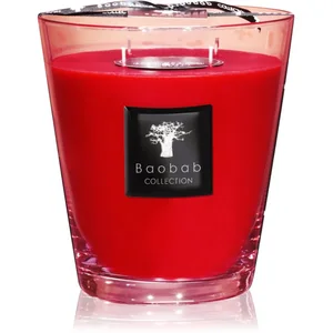 Baobab Collection All Seasons Masaai Spirit bougie parfumée 16 cm