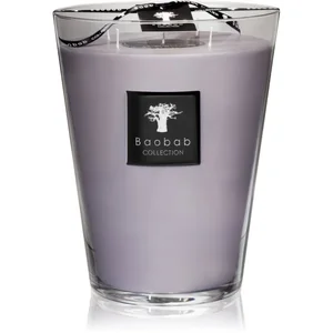 Baobab Collection All Seasons White Rhino bougie parfumée 24 cm pas cher