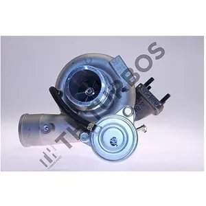 Turbos Hoet Turbocompresseur, suralimentation 1100753 pas cher