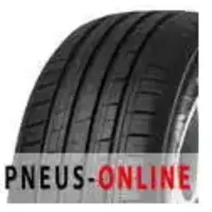 Minerva F209 205/60 R16 96V