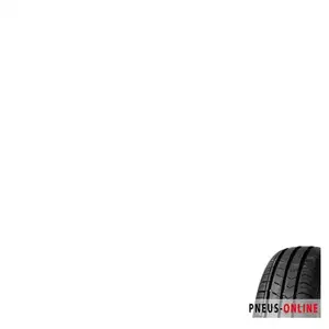 Fortuna Ecoplus HP 195 60 15 V 88 Summer