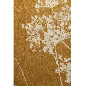 Comparateur de prix : Non communiqué Tapis Beneffito Parsley Gold 170x240cm