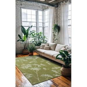 Comparateur de prix : Non communiqué Tapis Beneffito Parsley Vert 200x280cm