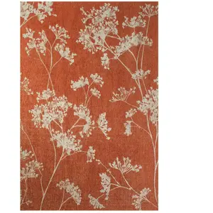Comparateur de prix : Non communiqué Tapis Beneffito Parsley Rouge 170x240cm