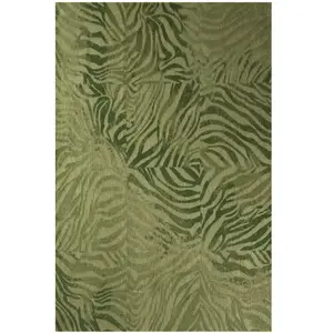 Comparateur de prix : Non communiqué Tapis Beneffito Zebra Vert 140x200cm