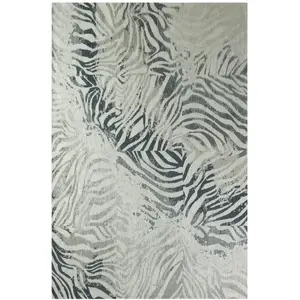 Comparateur de prix : Non communiqué Tapis Beneffito Zebra Bleu 170x240cm