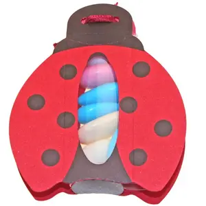 RueDeLaFete Ballotin Coccinelle avec plexi pas cher
