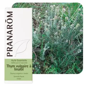 Comparateur de prix : Pranarom Pranarôm - Huile essentielle de thym à linalol 10 ml - Pranarôm