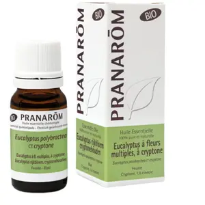 Comparateur de prix : Pranarom Huile Essentielle Bio Eucalyptus à Cryptone 10ml
