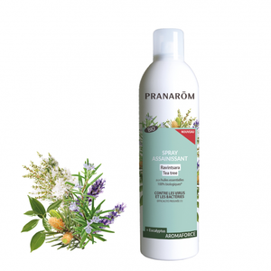 Pranarom Aromaforce Spray Assainissant Ravintsara Tea Tree Bio 400ml pas cher