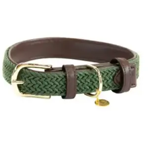 Kentucky - Collier pour Chien - Nylon tressé - Vert Olive - Taille XS - 37cm pas cher