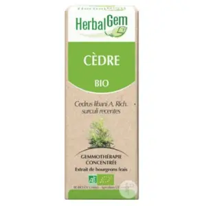 Comparateur de prix : strandwindschermen.nl HerbalGem Cèdre Bio | 30 ml