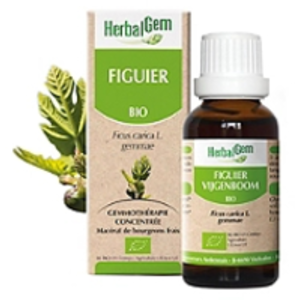 Comparateur de prix : Herbalgem Macérat Concentré Figuier Bio 30ml
