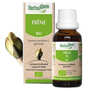 Comparateur de prix : Herbalgem Macérat Concentré Frêne Bio 30ml