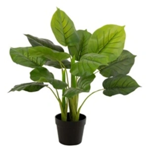 J-LINE Plante Artificielle en Pot Pothos 55cm Vert pas cher