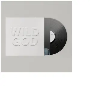 Comparateur de prix : Wild God Nick Cave & The Bad Seeds (Interprète) Vinyle album