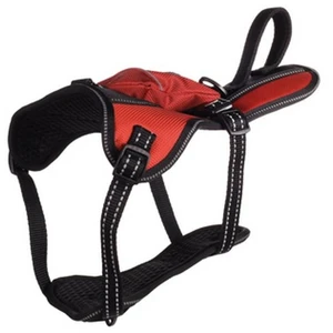Flamingo Harnais Kelso Rouge S 30-46CM 15MM pas cher