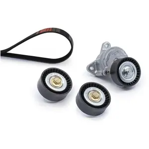 Jeu de courroies trapézoïdales à nervures Micro-V® Kit K016PK2563 Gates K016PK2563 pas cher