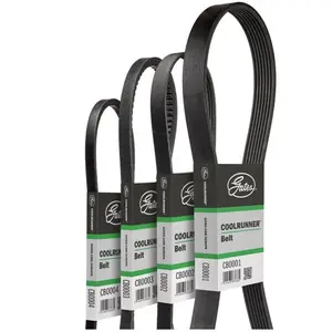Courroie trapézoïdale Coolrunner  CB0010 Gates CB0010 pas cher