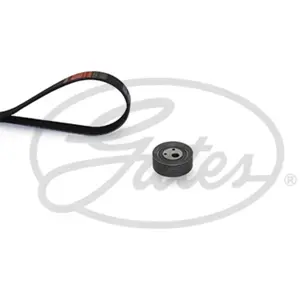 Jeu De Courroies Trapézoïdales À Nervures Gates K056pk1113 pas cher