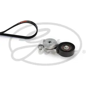 Jeu de courroies trapézoïdales à nervures Micro-V® Kit K046PK1255 Gates K046PK1255 pas cher