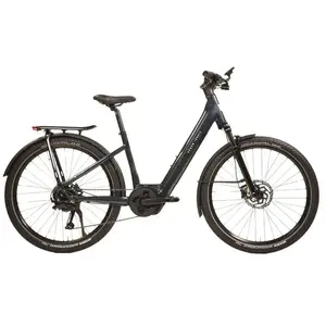 Urban Jungle Vélo électrique Barrio 3.0 Performance L pas cher