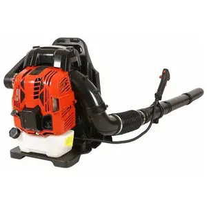 Varan Motors - BL766 Souffleur à dos Thermique moteur 4 temps 76cc 2.2... pas cher